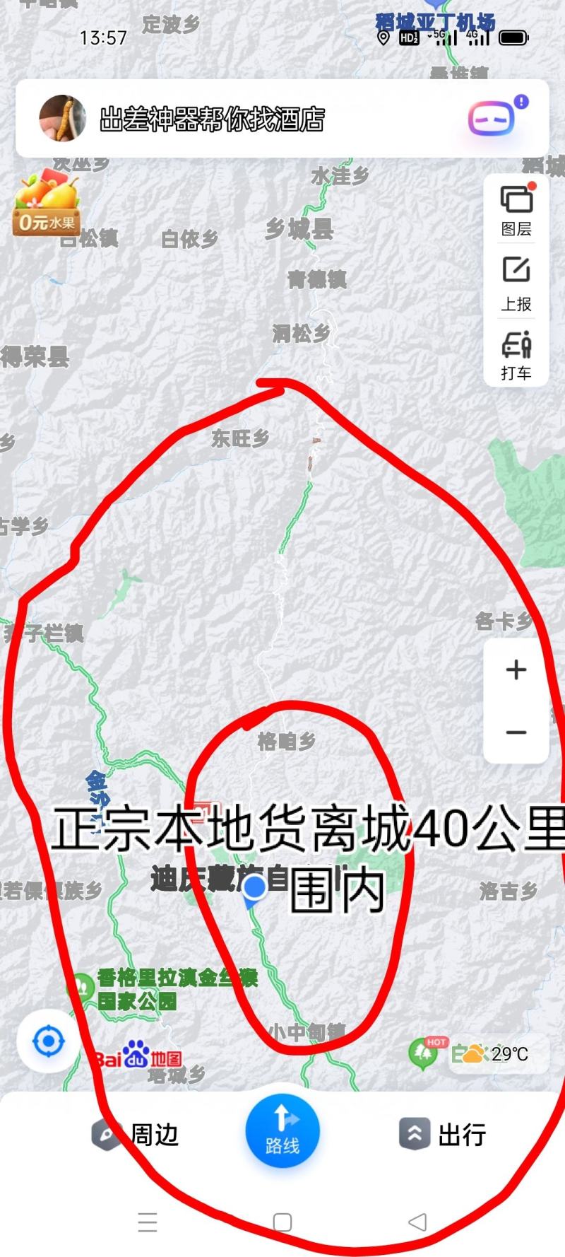 香格里拉新鲜松茸7-9cm产地一件代发批发顺丰包邮