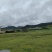 香格里拉新鲜松茸3-5cm产地一件代发批发包邮