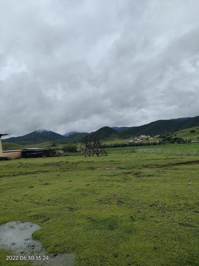 香格里拉新鲜松茸3-5cm产地一件代发批发包邮