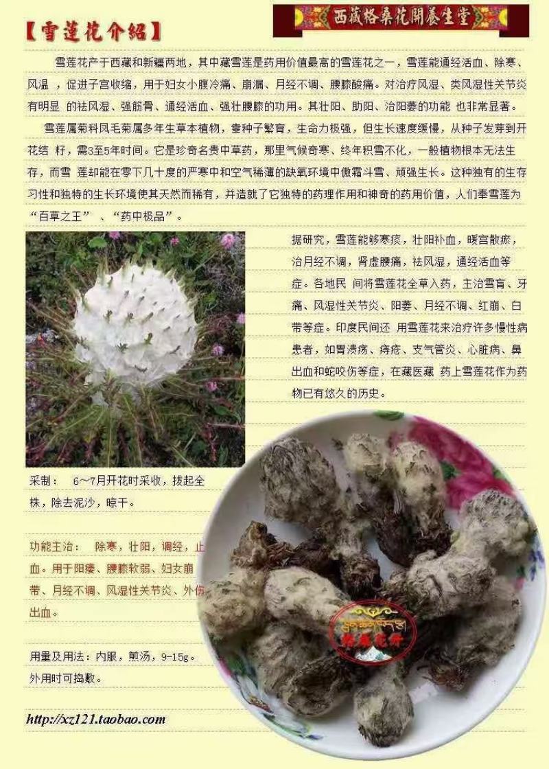 海拔四千以上的雪山正宗雪莲花