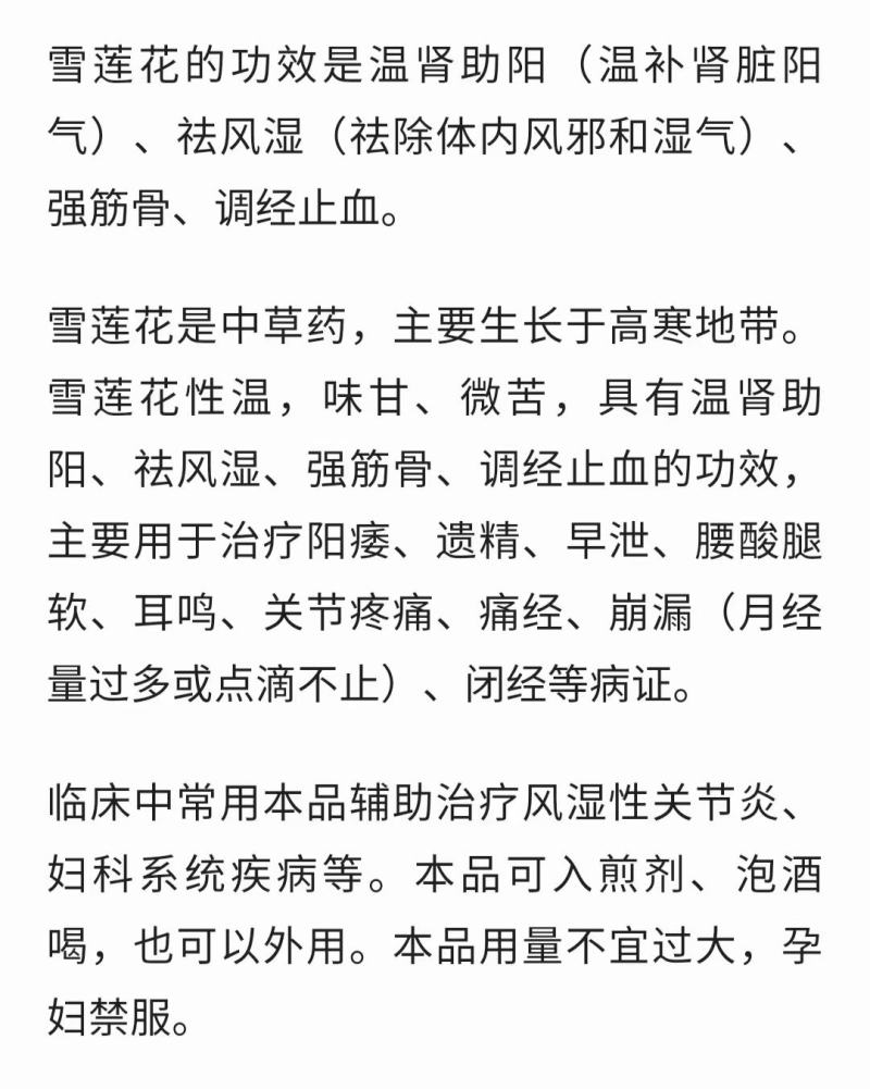 海拔四千以上的雪山正宗雪莲花