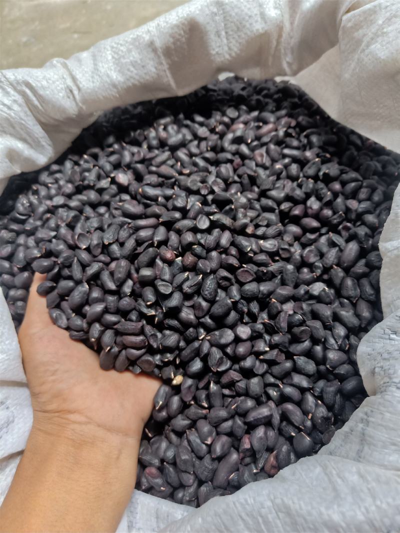 云南普洱黑花生米_