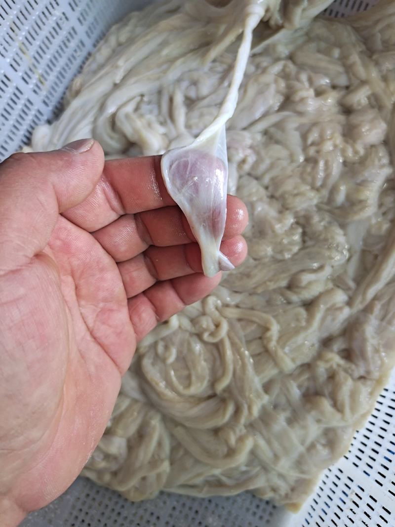细款，猪肠衣商用家用，用于灌制香肠、腊肠风干肠等的肠皮