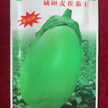 诚研麦茬茄王：青茄耐高温、抗病优、丰产佳