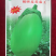 诚研麦茬茄王：青茄耐高温、抗病优、丰产佳