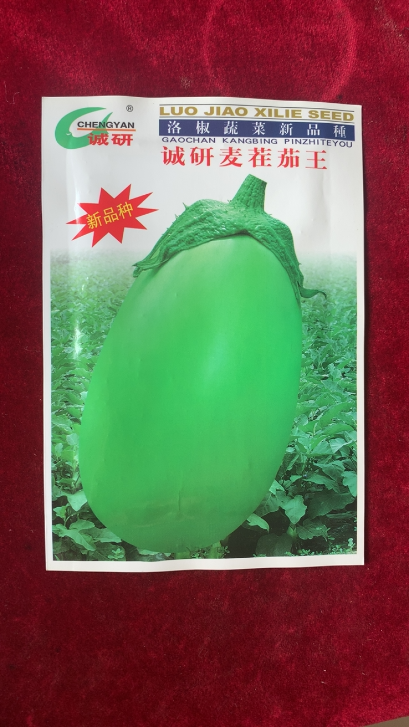 诚研麦茬茄王：青茄耐高温、抗病优、丰产佳