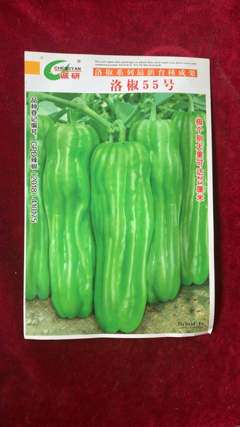 薄皮超大果新品：洛椒55号，较早熟，耐低温，皮薄质嫩。