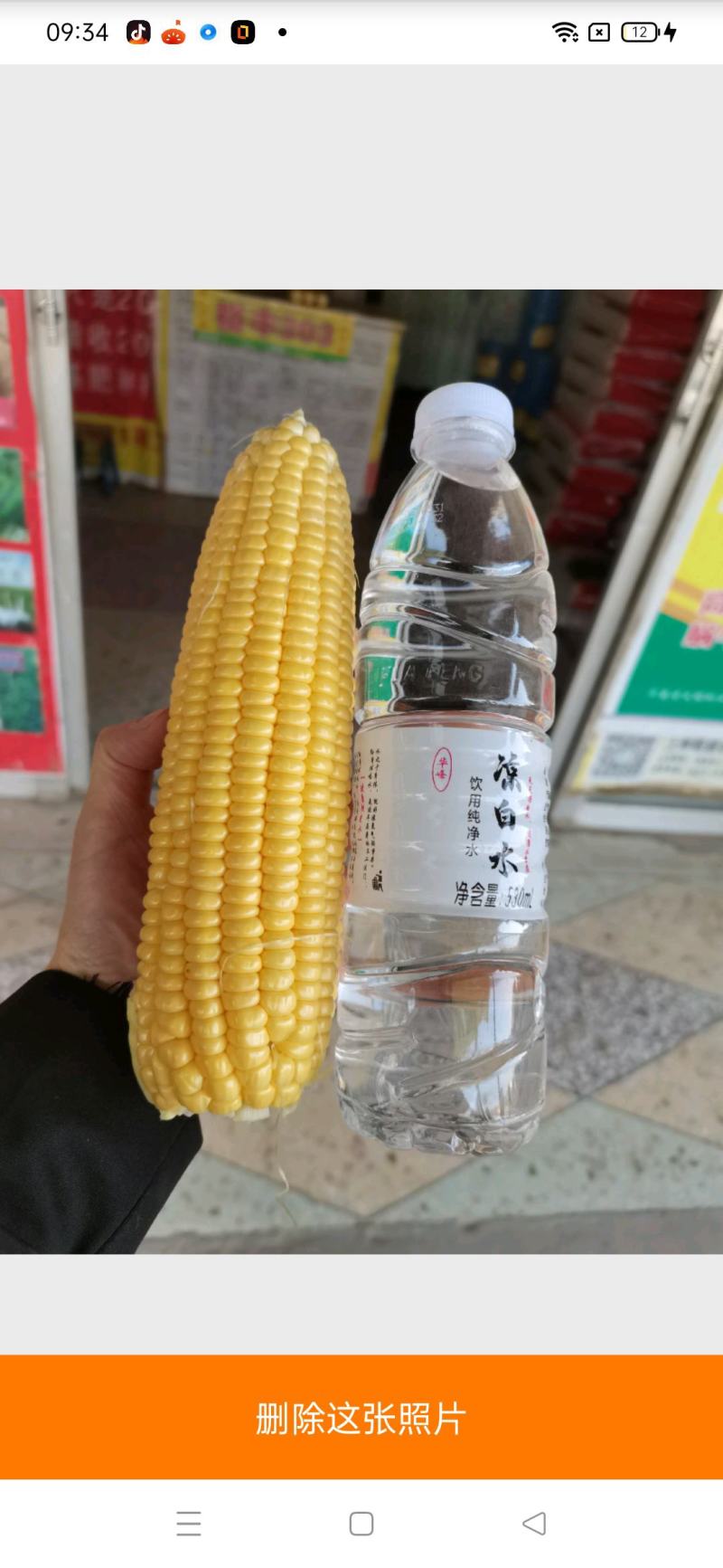水果玉米