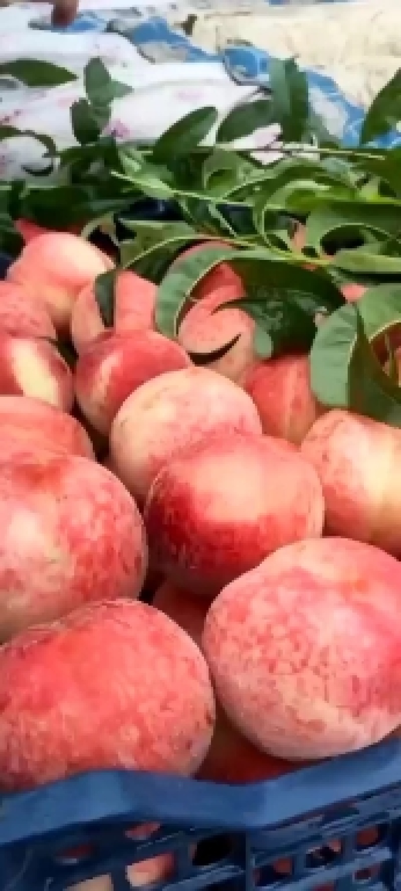 大久保