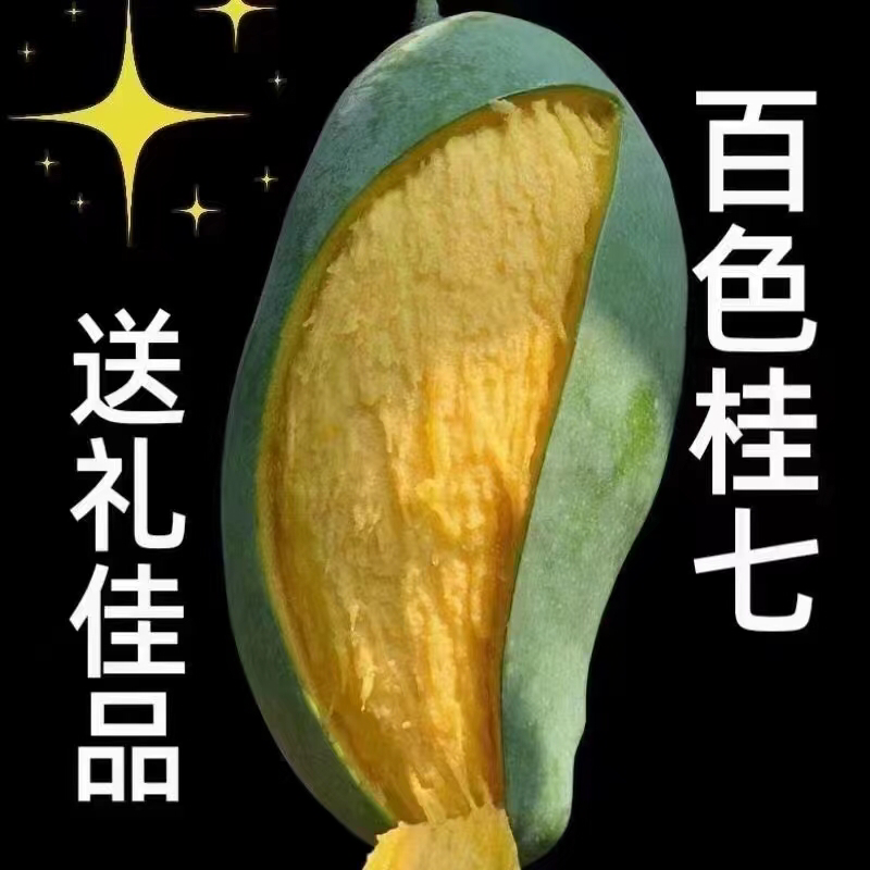 广西芒果🥭桂七