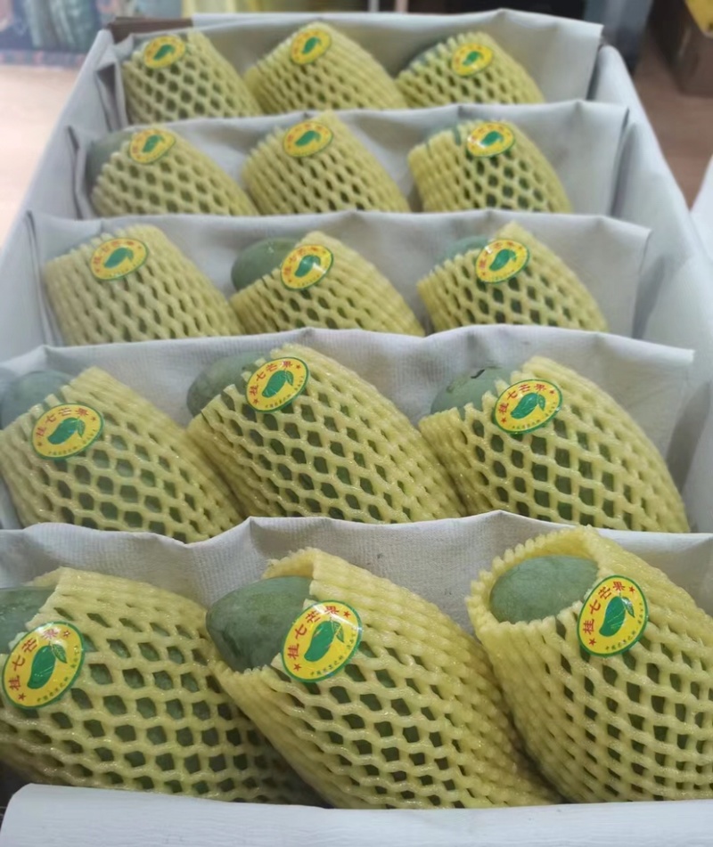 广西芒果🥭桂七