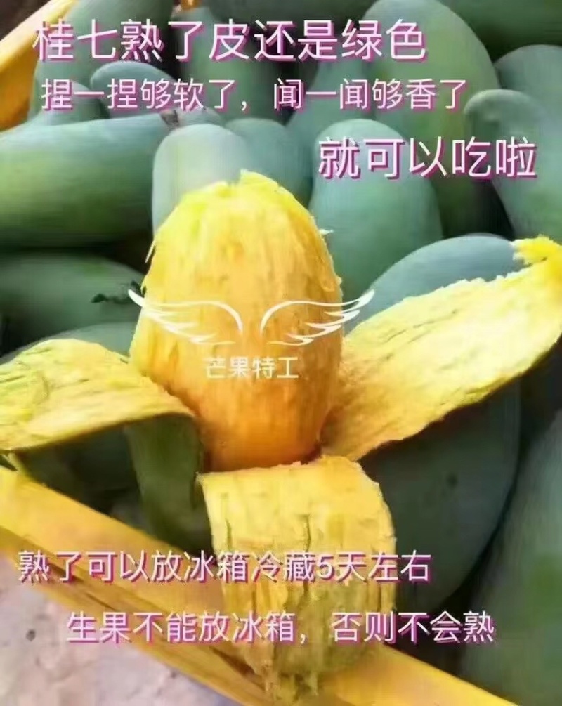 广西芒果🥭桂七