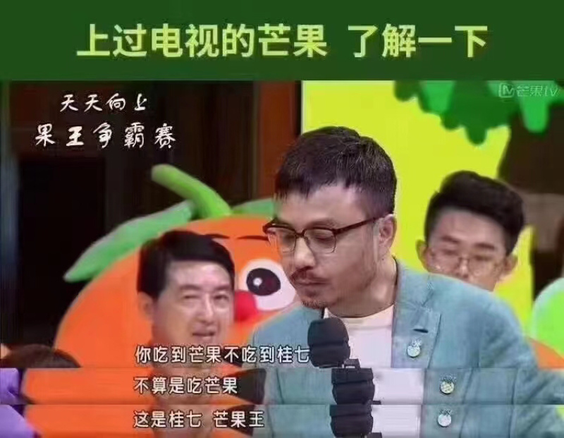 广西芒果🥭桂七
