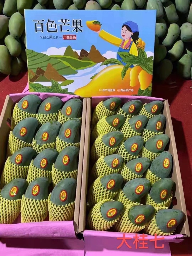广西芒果🥭桂七