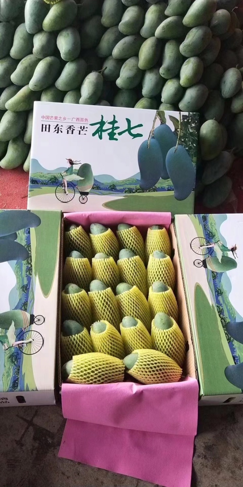 广西芒果🥭桂七