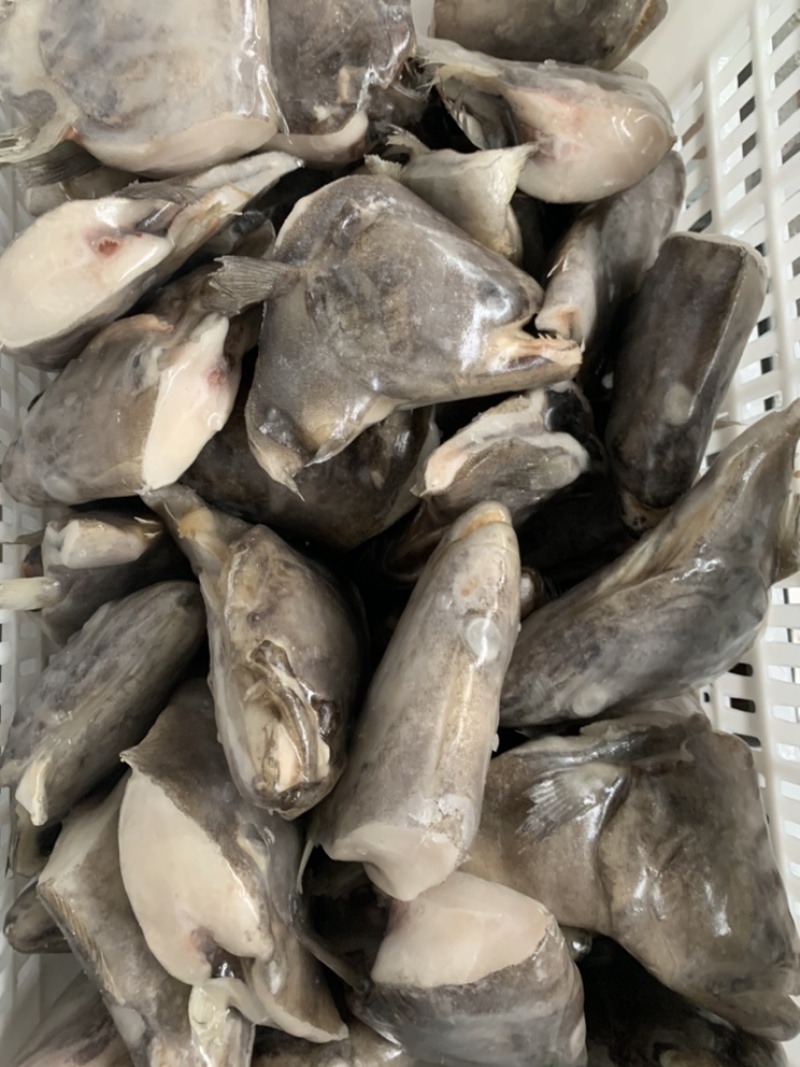 鲽鱼头鸦片鱼头厂家直发
