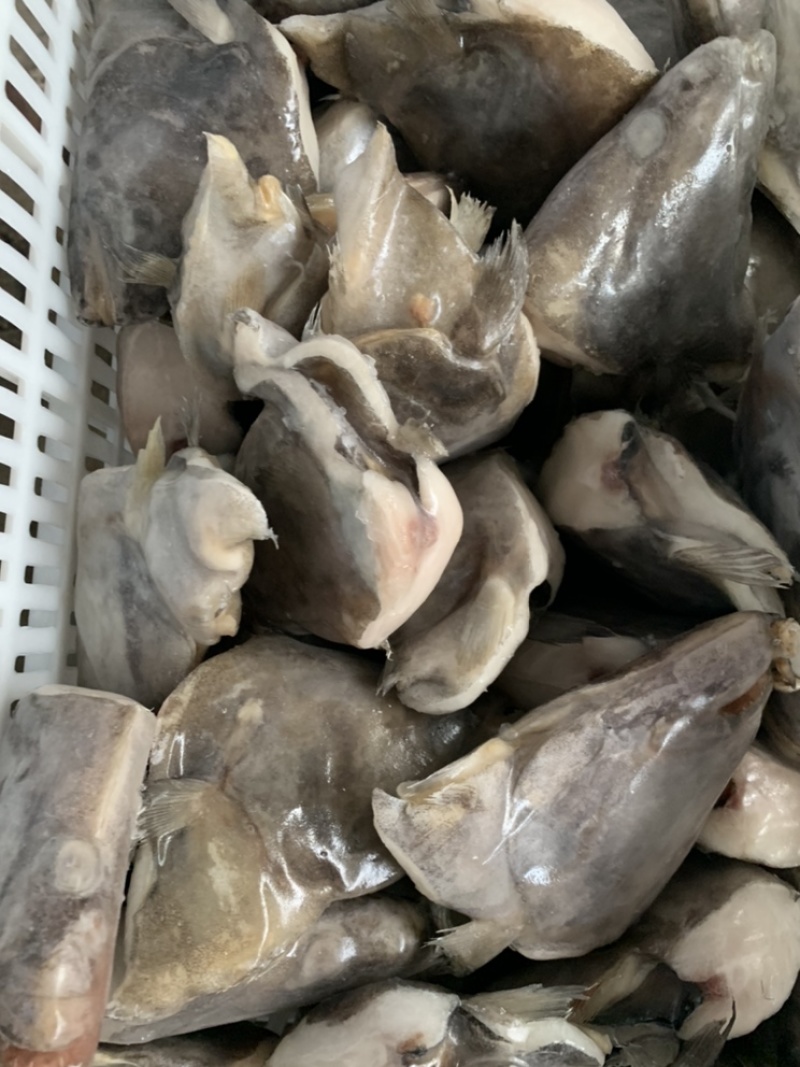 鲽鱼头鸦片鱼头厂家直发