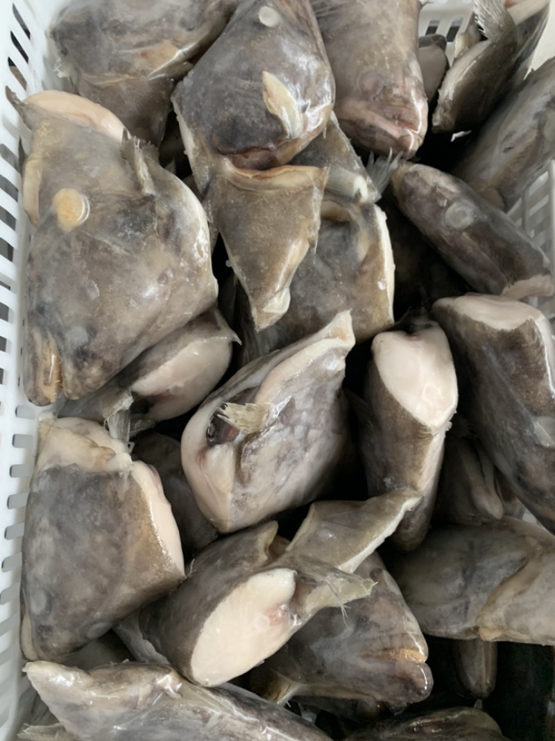 鲽鱼头鸦片鱼头厂家直发