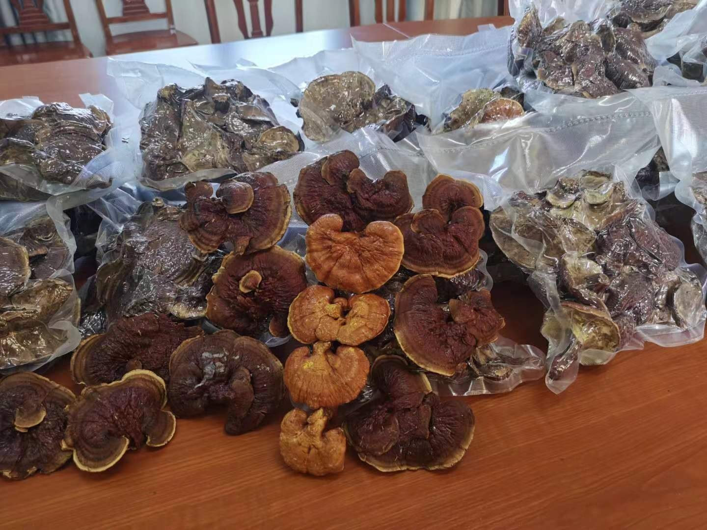 黑灵芝与陈皮的原材料展示