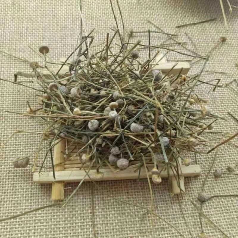 谷精草软支草药2斤包邮干货量大优惠