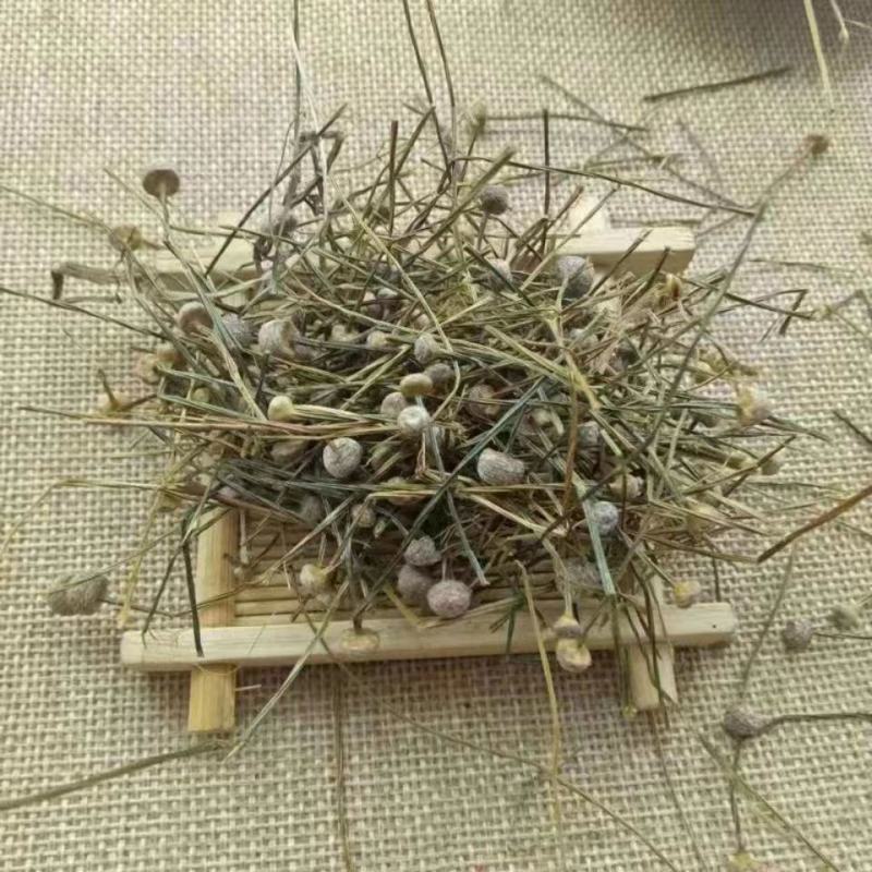 谷精草软支草药2斤包邮干货量大优惠