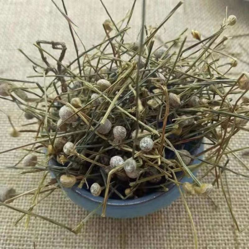 谷精草软支草药2斤包邮干货量大优惠