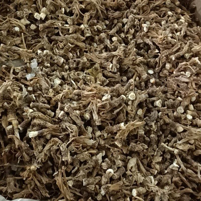 北沙参头，下角料内蒙赤峰市喀喇沁旗牛营子药材之乡种植户
