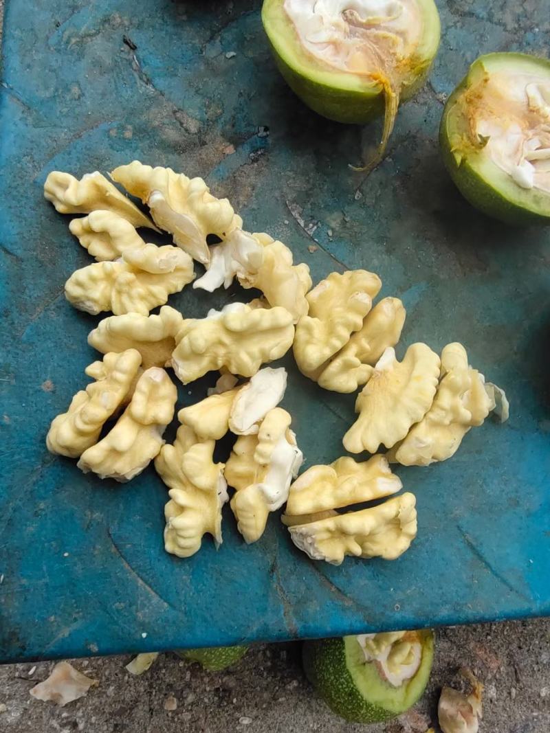 【青皮核桃】辽系精品青皮核桃，皮薄，仁饱满，可口。