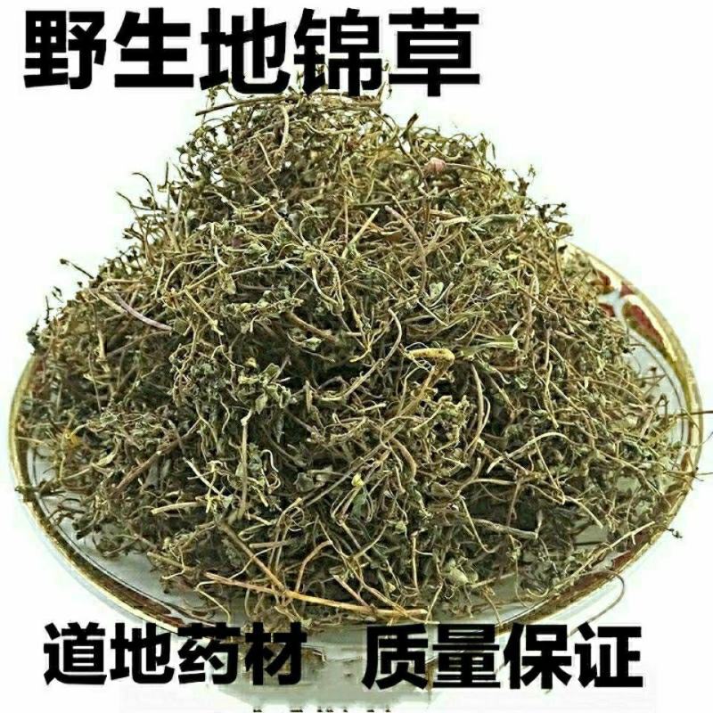 地锦草干货2斤起包邮量大优惠