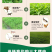 小米草种籽水草鱼虾蟹牧草籽耐水淹猪牛羊四季牧草种子