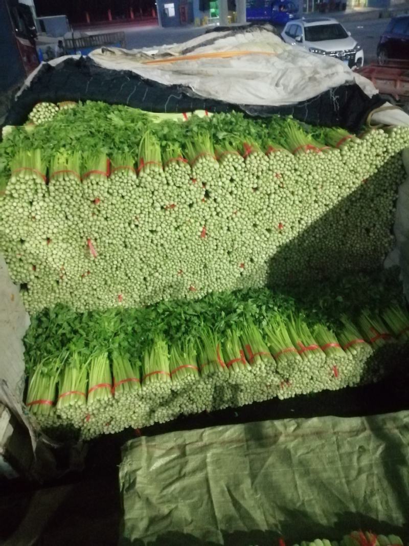 毛芹