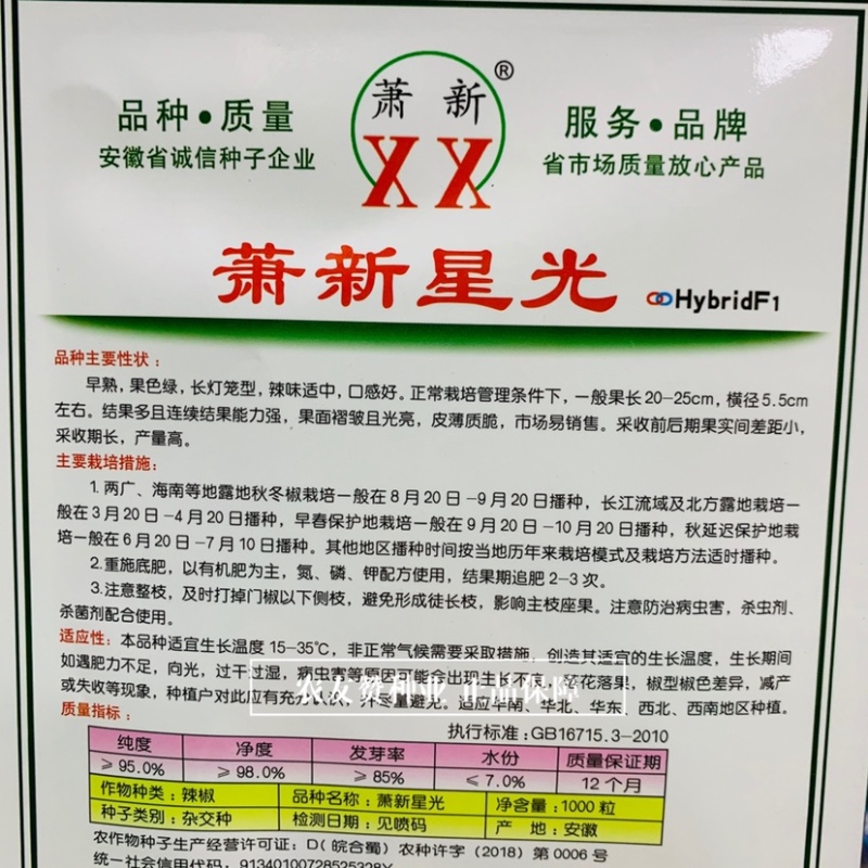 萧新星光早熟大果薄皮椒种子长灯笼型果色绿皮薄辣椒种子中辣