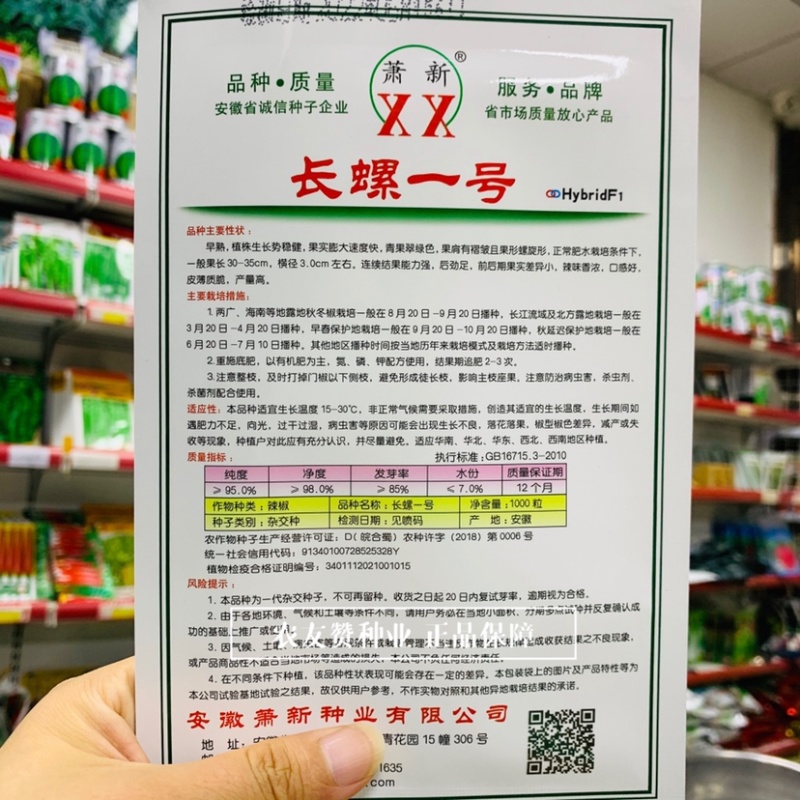 萧新长螺一号螺丝椒种子特辣香味浓果长皮薄螺丝线椒种子