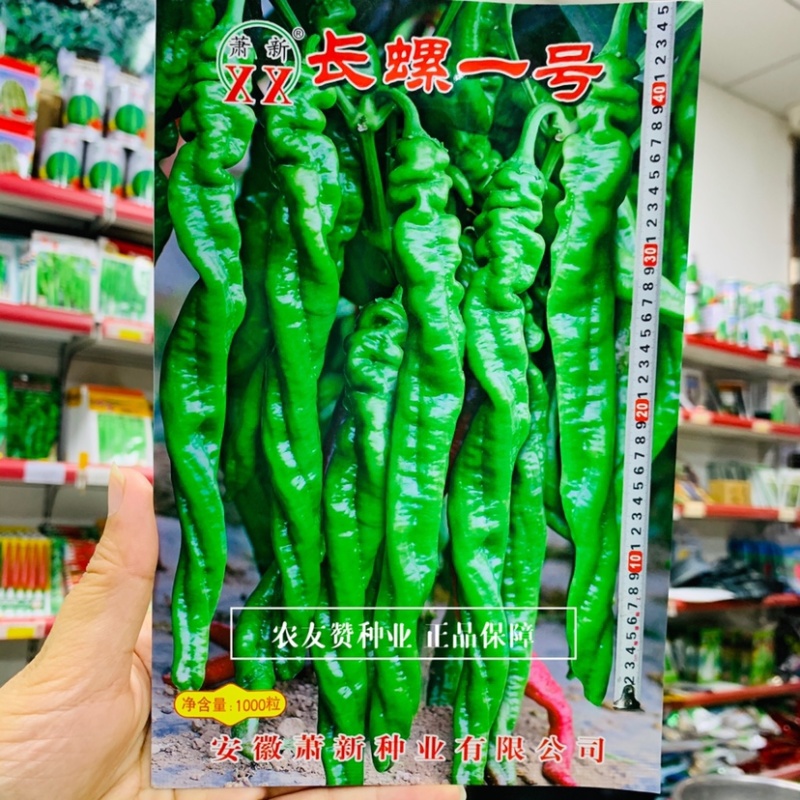 萧新长螺一号螺丝椒种子特辣香味浓果长皮薄螺丝线椒种子