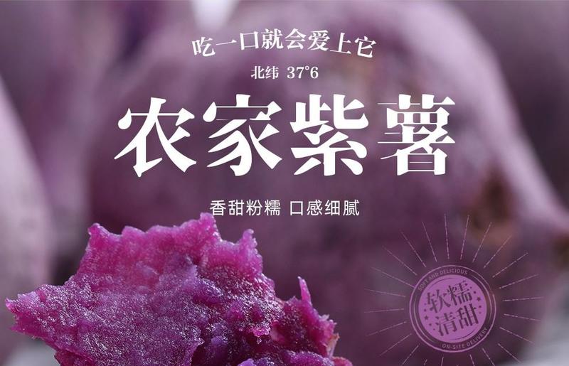 [一件代发]紫罗兰紫薯沙地紫薯新鲜现挖现发粉糯产地直供