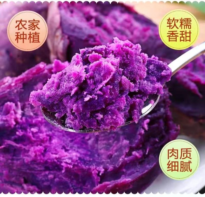 [一件代发]紫罗兰紫薯沙地紫薯新鲜现挖现发粉糯产地直供