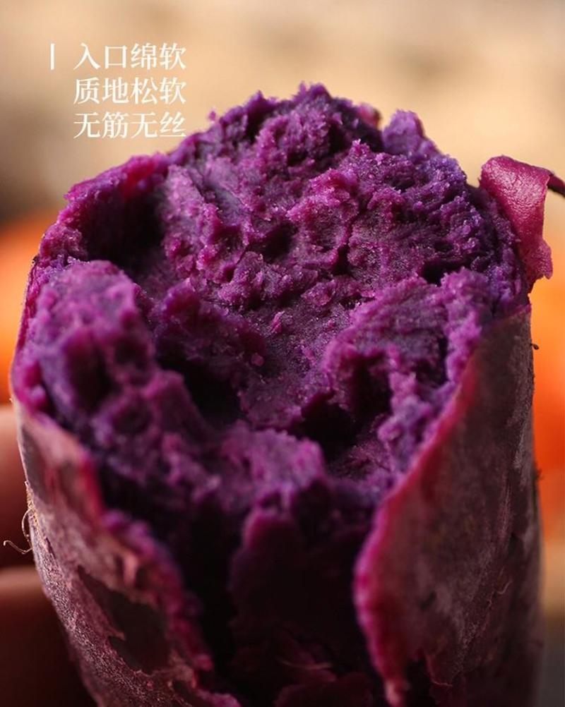 [一件代发]紫罗兰紫薯沙地紫薯新鲜现挖现发粉糯产地直供