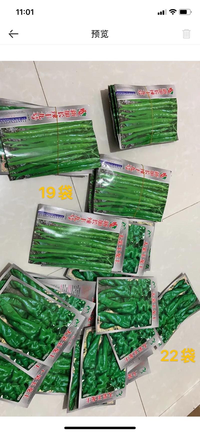 辣椒种子特价出售，一袋10元1000粒装
