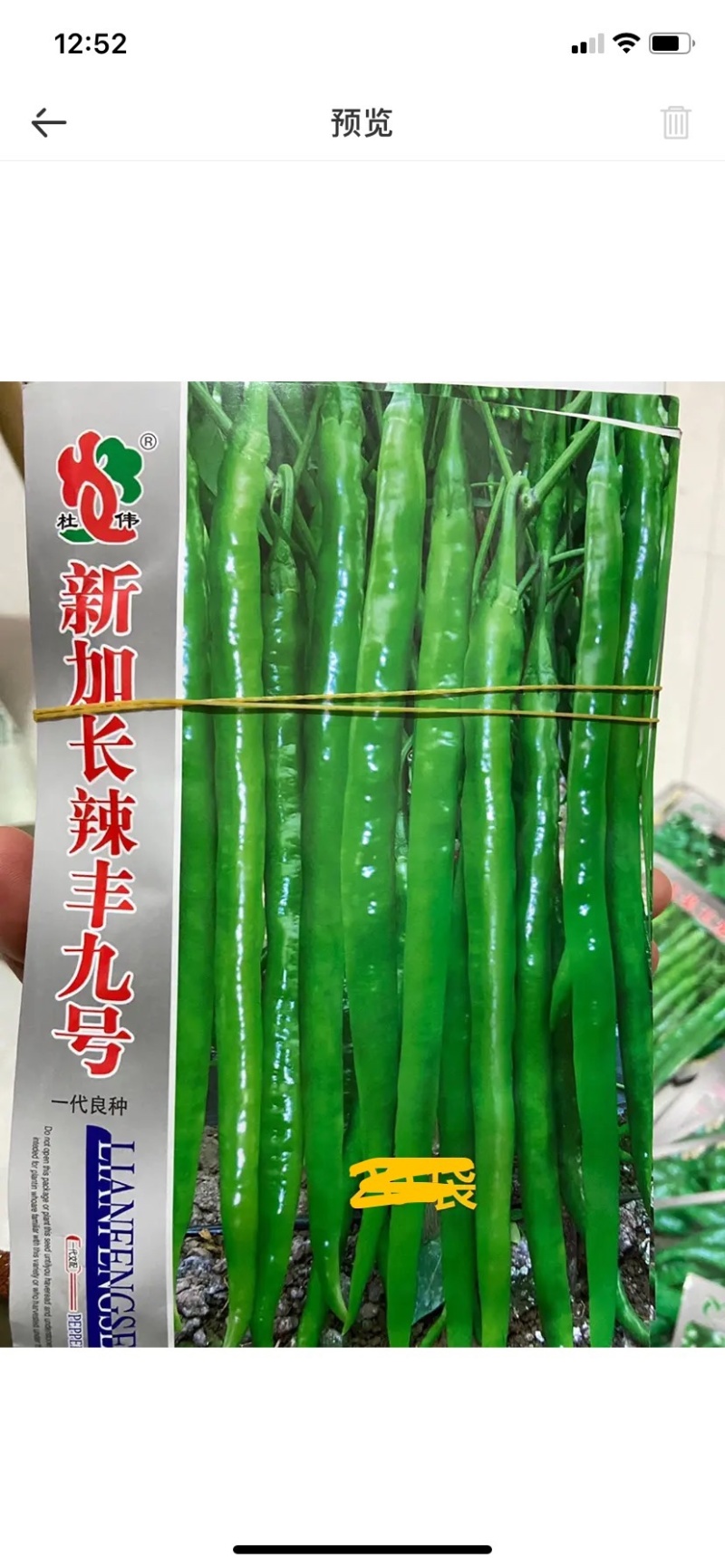 辣椒种子特价出售，一袋10元1000粒装