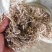 无土无膜无霉变的花生秧，用于牛羊饲料现货速发