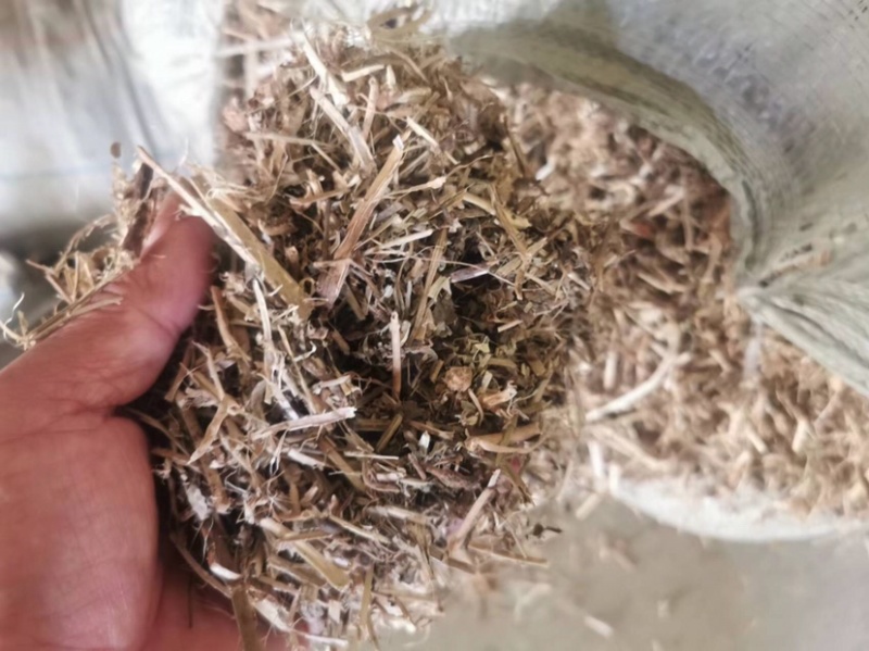 无土无膜无霉变的花生秧，用于牛羊饲料现货速发