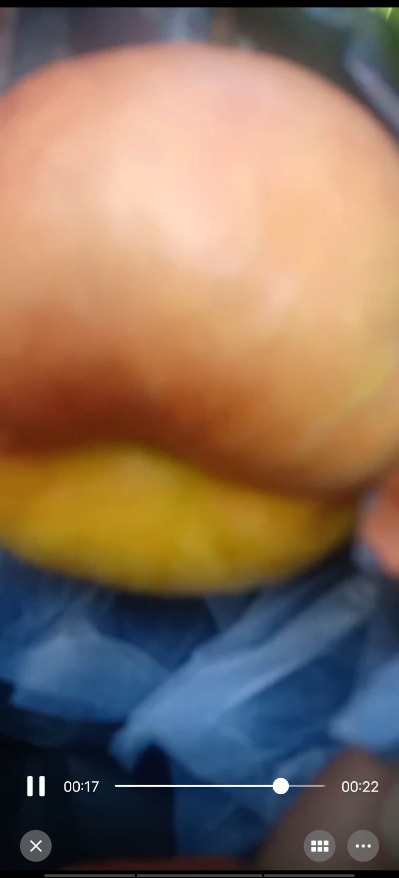 绥中蟠桃