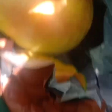 绥中蟠桃
