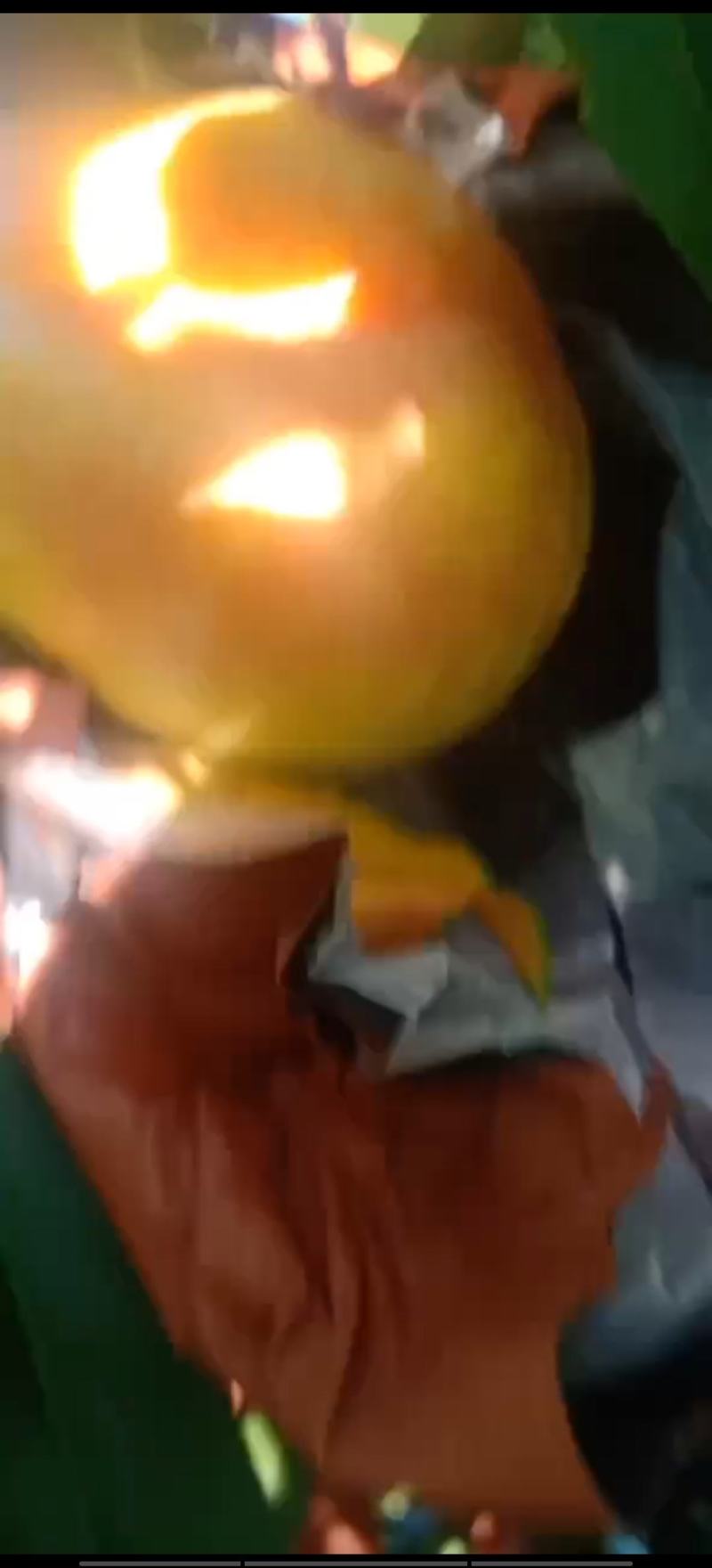 绥中蟠桃