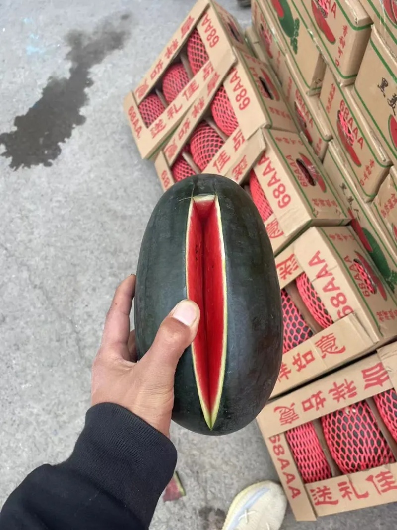 精品黑美人口感甜大红瓤实力代办代发全国质量保证