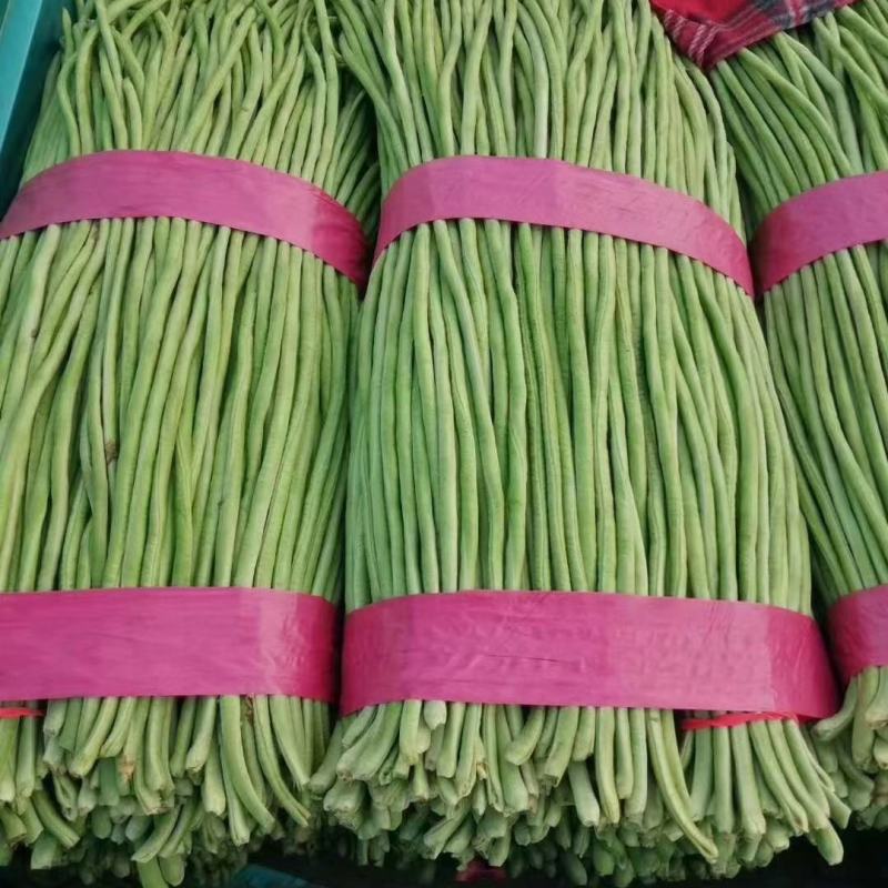 绿条豆角，豇豆大量上市中，品质好，价格优，诚信经营，