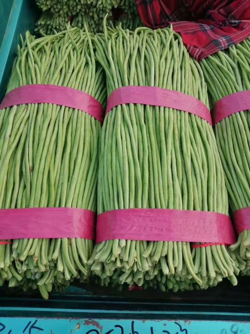 绿条豆角，豇豆大量上市中，品质好，价格优，诚信经营，