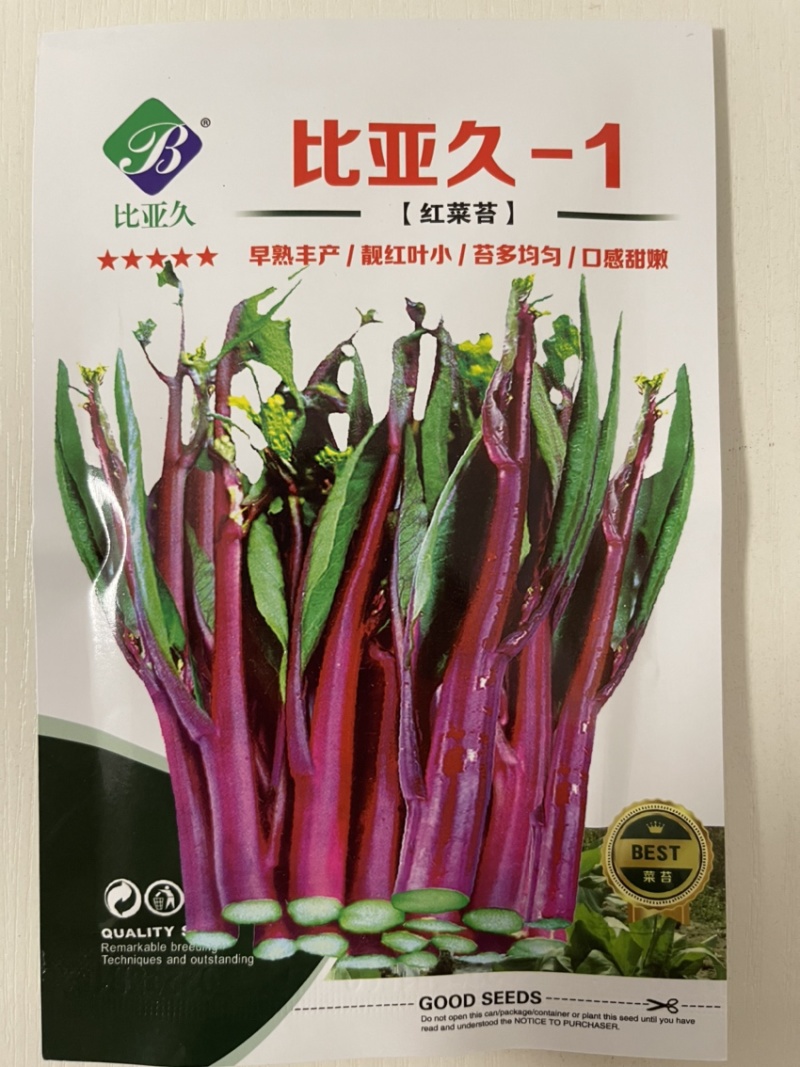 比亚久-1红菜苔种子，35天采收，亮紫红色，甜脆可口