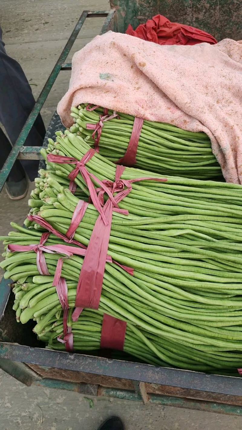 绿条豆角，豇豆大量上市中，品质好，价格优，诚信经营，