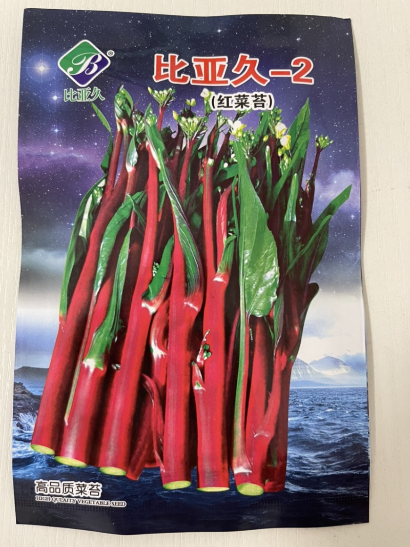 比亚久-2红菜苔种子，60天采收，薹叶小抽薹快亮紫红色
